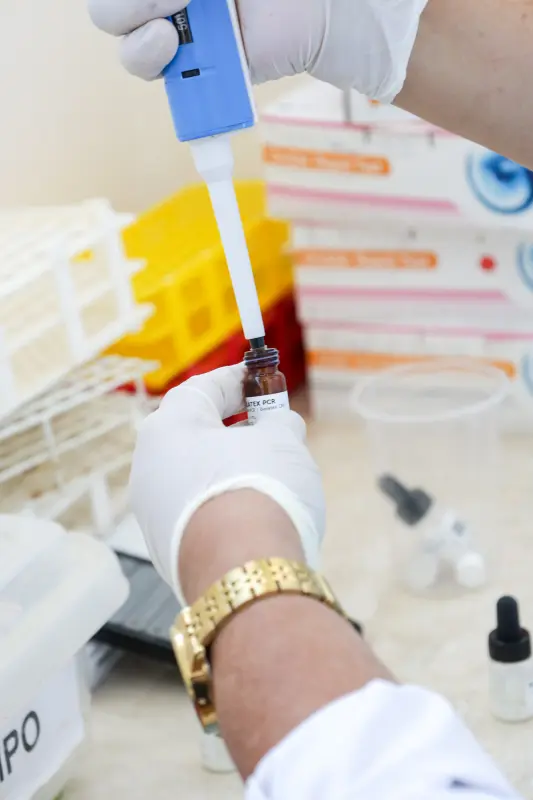  <div class='credito_fotos'>Foto: Pedro Guerreiro / Ag. Pará &nbsp;&nbsp;|&nbsp;&nbsp; <a href='/midias/2025/originais/20250722144441-GF00024260-F00424665.jpg' download><i class='fa-solid fa-download'></i> Download</a></div>