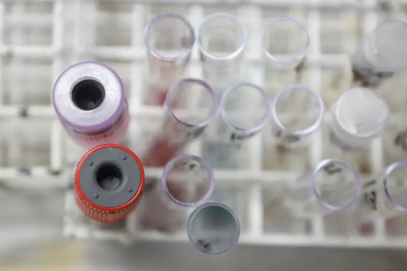  <div class='credito_fotos'>Foto: Marcelo Lelis / Ag. Pará &nbsp;&nbsp;|&nbsp;&nbsp; <a href='/midias/2025/originais/20250722162527-GF00024267-F00424828.jpg' download><i class='fa-solid fa-download'></i> Download</a></div>