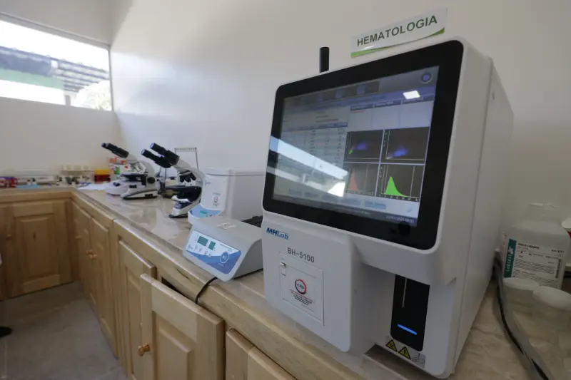  <div class='credito_fotos'>Foto: Pedro Guerreiro / Ag. Pará &nbsp;&nbsp;|&nbsp;&nbsp; <a href='/midias/2025/originais/20250722173157-GF00024270-F00424877.jpg' download><i class='fa-solid fa-download'></i> Download</a></div>