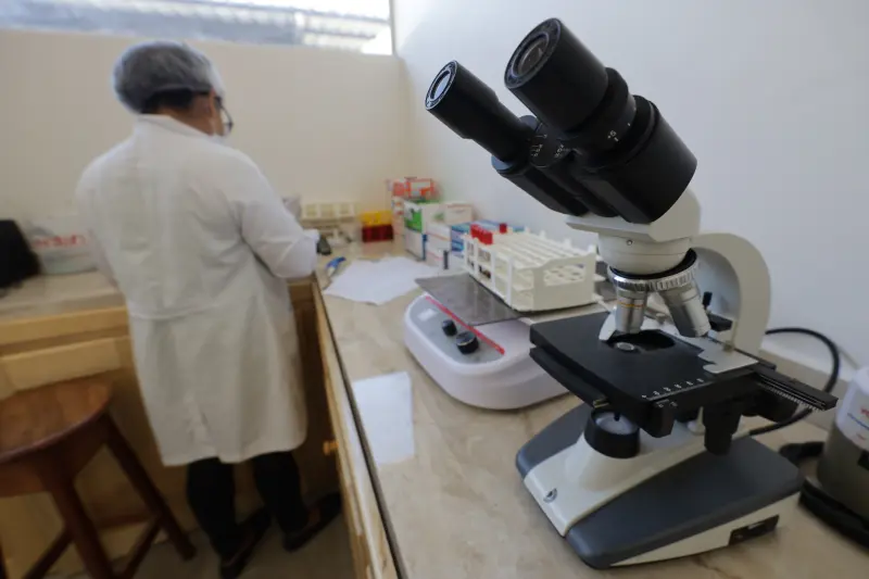  <div class='credito_fotos'>Foto: Pedro Guerreiro / Ag. Pará &nbsp;&nbsp;|&nbsp;&nbsp; <a href='/midias/2025/originais/20250722173159-GF00024270-F00424878.jpg' download><i class='fa-solid fa-download'></i> Download</a></div>