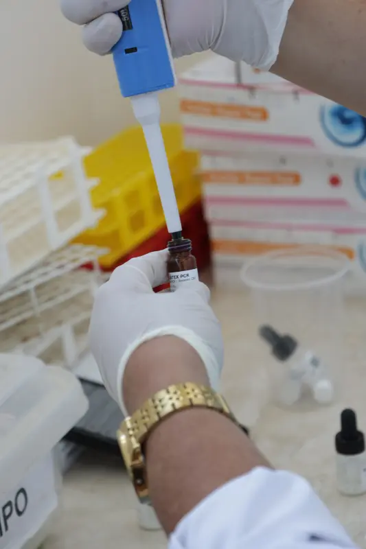  <div class='credito_fotos'>Foto: Pedro Guerreiro / Ag. Pará &nbsp;&nbsp;|&nbsp;&nbsp; <a href='/midias/2025/originais/20250722173201-GF00024270-F00424879.jpg' download><i class='fa-solid fa-download'></i> Download</a></div>