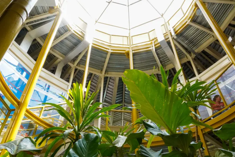  <div class='credito_fotos'>Foto: Augusto Miranda / Ag. Pará &nbsp;&nbsp;|&nbsp;&nbsp; <a href='/midias/2025/originais/20250723124908-GF00024280-F00425069.jpg' download><i class='fa-solid fa-download'></i> Download</a></div>