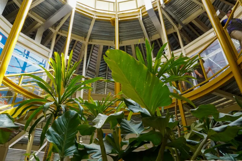  <div class='credito_fotos'>Foto: Augusto Miranda / Ag. Pará &nbsp;&nbsp;|&nbsp;&nbsp; <a href='/midias/2025/originais/20250723124910-GF00024280-F00425070.jpg' download><i class='fa-solid fa-download'></i> Download</a></div>