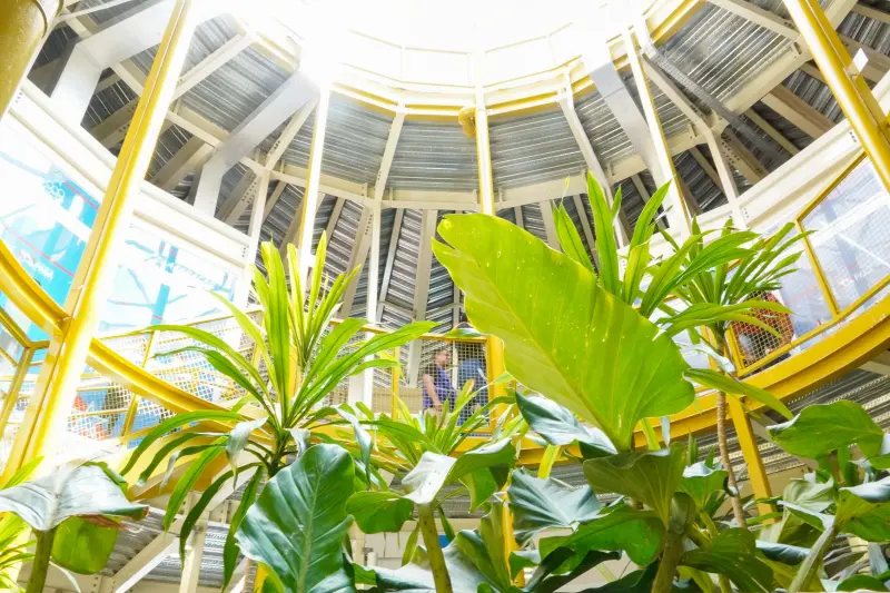  <div class='credito_fotos'>Foto: Augusto Miranda / Ag. Pará &nbsp;&nbsp;|&nbsp;&nbsp; <a href='/midias/2025/originais/20250723124912-GF00024280-F00425071.jpg' download><i class='fa-solid fa-download'></i> Download</a></div>