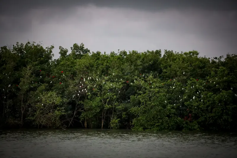  <div class='credito_fotos'>Foto: Bruno Cruz / Ag. Pará &nbsp;&nbsp;|&nbsp;&nbsp; <a href='/midias/2025/originais/20250724134001-GF00024296-F00425512.jpg' download><i class='fa-solid fa-download'></i> Download</a></div>