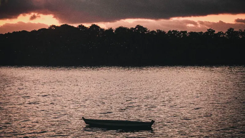  <div class='credito_fotos'>Foto: Bruno Cruz / Ag. Pará &nbsp;&nbsp;|&nbsp;&nbsp; <a href='/midias/2025/originais/20250724134008-GF00024296-F00425514.jpg' download><i class='fa-solid fa-download'></i> Download</a></div>