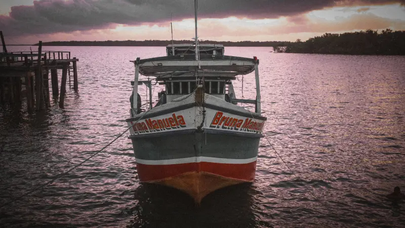  <div class='credito_fotos'>Foto: Bruno Cruz / Ag. Pará &nbsp;&nbsp;|&nbsp;&nbsp; <a href='/midias/2025/originais/20250724134015-GF00024296-F00425516.jpg' download><i class='fa-solid fa-download'></i> Download</a></div>