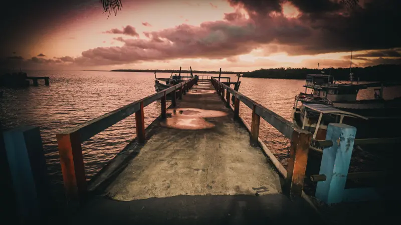  <div class='credito_fotos'>Foto: Bruno Cruz / Ag. Pará &nbsp;&nbsp;|&nbsp;&nbsp; <a href='/midias/2025/originais/20250724134020-GF00024296-F00425518.jpg' download><i class='fa-solid fa-download'></i> Download</a></div>