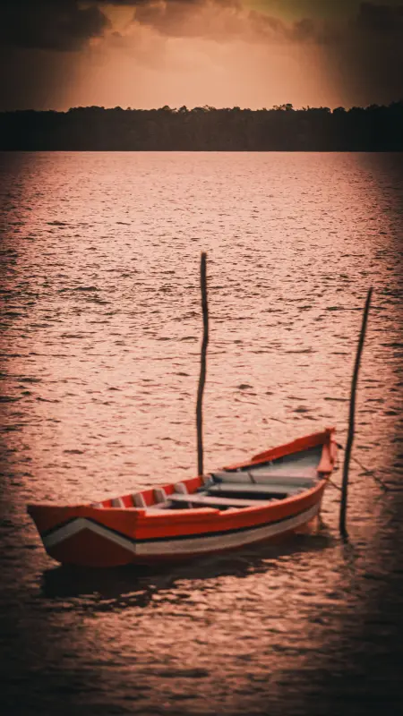  <div class='credito_fotos'>Foto: Bruno Cruz / Ag. Pará &nbsp;&nbsp;|&nbsp;&nbsp; <a href='/midias/2025/originais/20250724134023-GF00024296-F00425519.jpg' download><i class='fa-solid fa-download'></i> Download</a></div>