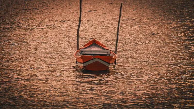  <div class='credito_fotos'>Foto: Bruno Cruz / Ag. Pará &nbsp;&nbsp;|&nbsp;&nbsp; <a href='/midias/2025/originais/20250724134025-GF00024296-F00425520.jpg' download><i class='fa-solid fa-download'></i> Download</a></div>