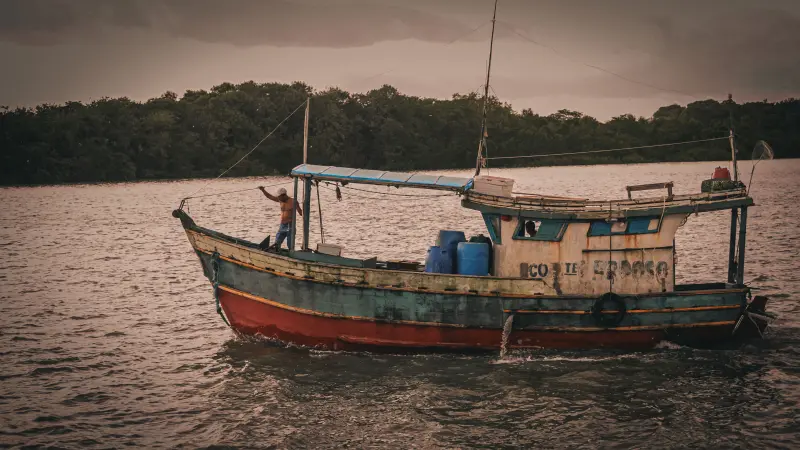  <div class='credito_fotos'>Foto: Bruno Cruz / Ag. Pará &nbsp;&nbsp;|&nbsp;&nbsp; <a href='/midias/2025/originais/20250724134041-GF00024296-F00425526.jpg' download><i class='fa-solid fa-download'></i> Download</a></div>