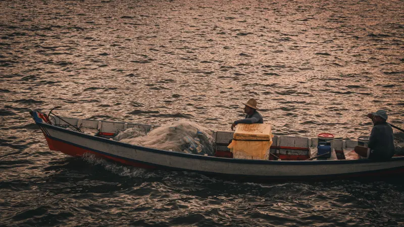  <div class='credito_fotos'>Foto: Bruno Cruz / Ag. Pará &nbsp;&nbsp;|&nbsp;&nbsp; <a href='/midias/2025/originais/20250724134052-GF00024296-F00425532.jpg' download><i class='fa-solid fa-download'></i> Download</a></div>