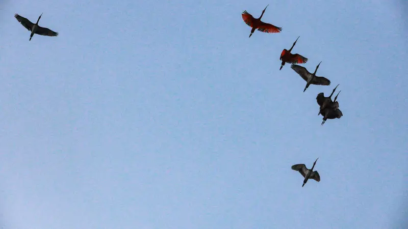  <div class='credito_fotos'>Foto: Bruno Cruz / Ag. Pará &nbsp;&nbsp;|&nbsp;&nbsp; <a href='/midias/2025/originais/20250724134054-GF00024296-F00425533.jpg' download><i class='fa-solid fa-download'></i> Download</a></div>