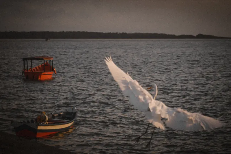  <div class='credito_fotos'>Foto: Bruno Cruz / Ag. Pará &nbsp;&nbsp;|&nbsp;&nbsp; <a href='/midias/2025/originais/20250724134105-GF00024296-F00425539.jpg' download><i class='fa-solid fa-download'></i> Download</a></div>