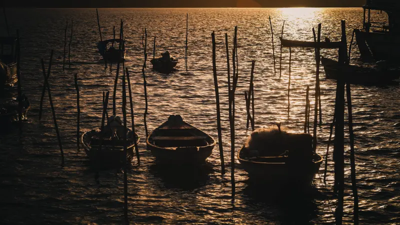  <div class='credito_fotos'>Foto: Bruno Cruz / Ag. Pará &nbsp;&nbsp;|&nbsp;&nbsp; <a href='/midias/2025/originais/20250724134109-GF00024296-F00425541.jpg' download><i class='fa-solid fa-download'></i> Download</a></div>