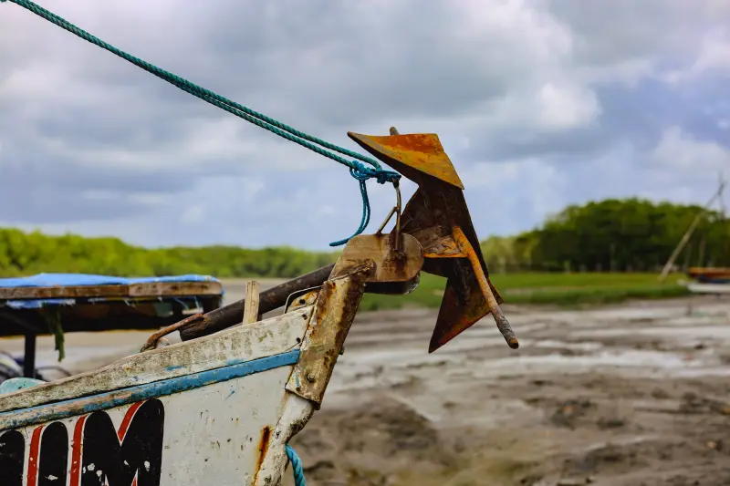  <div class='credito_fotos'>Foto: Bruno Cruz / Ag. Pará &nbsp;&nbsp;|&nbsp;&nbsp; <a href='/midias/2025/originais/20250725115852-GF00024296-F00425888.jpg' download><i class='fa-solid fa-download'></i> Download</a></div>
