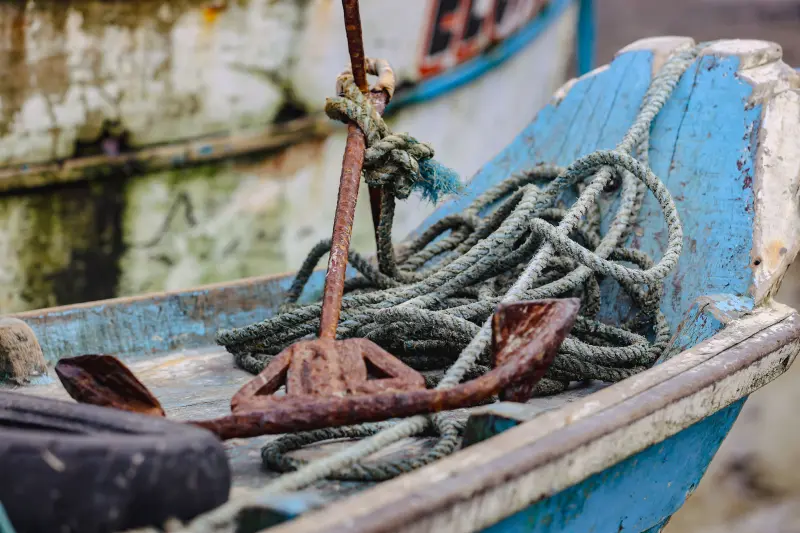  <div class='credito_fotos'>Foto: Bruno Cruz / Ag. Pará &nbsp;&nbsp;|&nbsp;&nbsp; <a href='/midias/2025/originais/20250725115903-GF00024296-F00425889.jpg' download><i class='fa-solid fa-download'></i> Download</a></div>