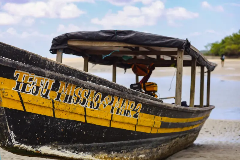  <div class='credito_fotos'>Foto: Bruno Cruz / Ag. Pará &nbsp;&nbsp;|&nbsp;&nbsp; <a href='/midias/2025/originais/20250725115915-GF00024296-F00425891.jpg' download><i class='fa-solid fa-download'></i> Download</a></div>