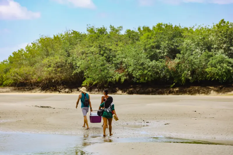  <div class='credito_fotos'>Foto: Bruno Cruz / Ag. Pará &nbsp;&nbsp;|&nbsp;&nbsp; <a href='/midias/2025/originais/20250725115919-GF00024296-F00425892.jpg' download><i class='fa-solid fa-download'></i> Download</a></div>