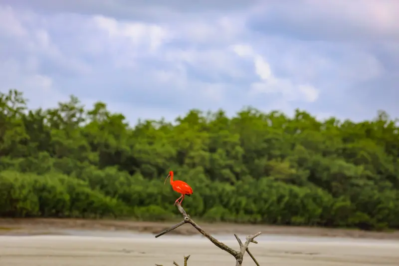  <div class='credito_fotos'>Foto: Bruno Cruz / Ag. Pará &nbsp;&nbsp;|&nbsp;&nbsp; <a href='/midias/2025/originais/20250725115921-GF00024296-F00425893.jpg' download><i class='fa-solid fa-download'></i> Download</a></div>