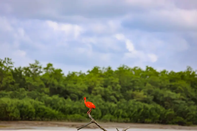  <div class='credito_fotos'>Foto: Bruno Cruz / Ag. Pará &nbsp;&nbsp;|&nbsp;&nbsp; <a href='/midias/2025/originais/20250725115924-GF00024296-F00425894.jpg' download><i class='fa-solid fa-download'></i> Download</a></div>