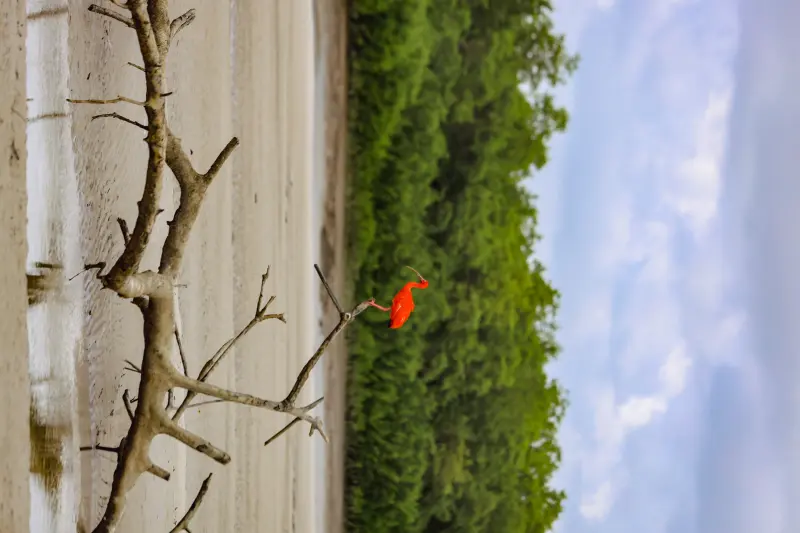  <div class='credito_fotos'>Foto: Bruno Cruz / Ag. Pará &nbsp;&nbsp;|&nbsp;&nbsp; <a href='/midias/2025/originais/20250725115927-GF00024296-F00425895.jpg' download><i class='fa-solid fa-download'></i> Download</a></div>