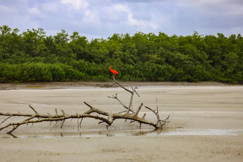  <div class='credito_fotos'>Foto: Bruno Cruz / Ag. Pará &nbsp;&nbsp;|&nbsp;&nbsp; <a href='/midias/2025/originais/20250725115930-GF00024296-F00425896.jpg' download><i class='fa-solid fa-download'></i> Download</a></div>
