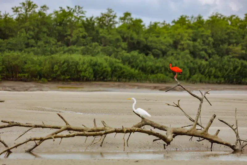  <div class='credito_fotos'>Foto: Bruno Cruz / Ag. Pará &nbsp;&nbsp;|&nbsp;&nbsp; <a href='/midias/2025/originais/20250725115937-GF00024296-F00425898.jpg' download><i class='fa-solid fa-download'></i> Download</a></div>