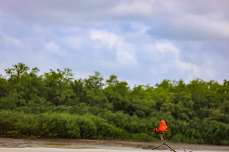  <div class='credito_fotos'>Foto: Bruno Cruz / Ag. Pará &nbsp;&nbsp;|&nbsp;&nbsp; <a href='/midias/2025/originais/20250725115941-GF00024296-F00425899.jpg' download><i class='fa-solid fa-download'></i> Download</a></div>