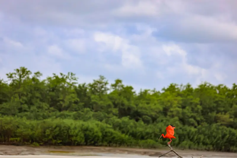  <div class='credito_fotos'>Foto: Bruno Cruz / Ag. Pará &nbsp;&nbsp;|&nbsp;&nbsp; <a href='/midias/2025/originais/20250725115944-GF00024296-F00425900.jpg' download><i class='fa-solid fa-download'></i> Download</a></div>