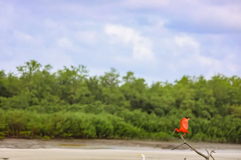  <div class='credito_fotos'>Foto: Bruno Cruz / Ag. Pará &nbsp;&nbsp;|&nbsp;&nbsp; <a href='/midias/2025/originais/20250725115946-GF00024296-F00425901.jpg' download><i class='fa-solid fa-download'></i> Download</a></div>