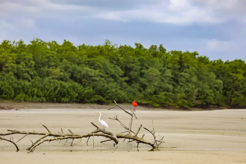  <div class='credito_fotos'>Foto: Bruno Cruz / Ag. Pará &nbsp;&nbsp;|&nbsp;&nbsp; <a href='/midias/2025/originais/20250725120001-GF00024296-F00425905.jpg' download><i class='fa-solid fa-download'></i> Download</a></div>