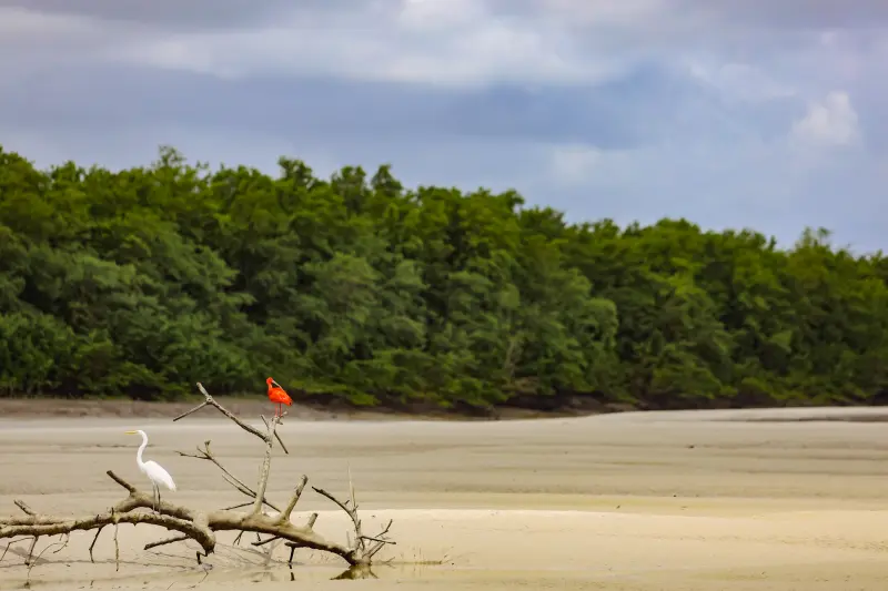  <div class='credito_fotos'>Foto: Bruno Cruz / Ag. Pará &nbsp;&nbsp;|&nbsp;&nbsp; <a href='/midias/2025/originais/20250725120004-GF00024296-F00425906.jpg' download><i class='fa-solid fa-download'></i> Download</a></div>