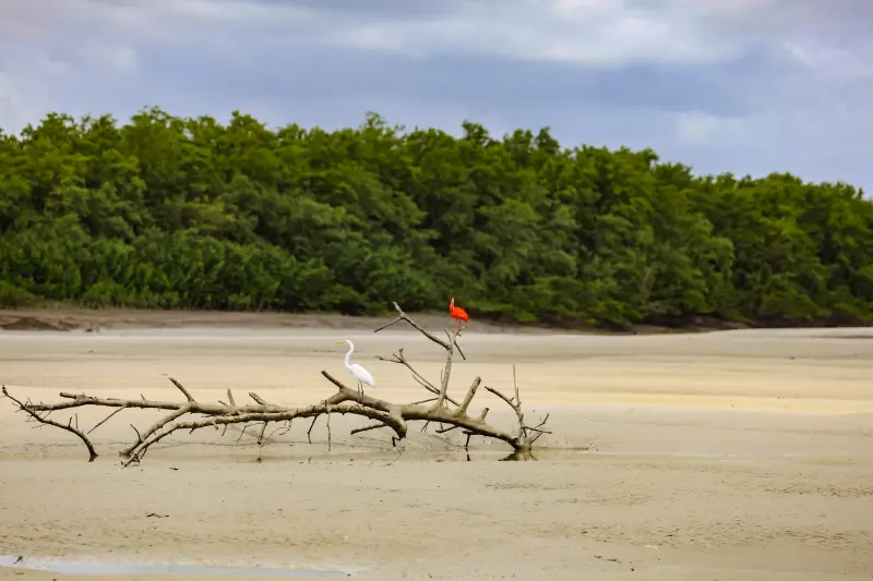  <div class='credito_fotos'>Foto: Bruno Cruz / Ag. Pará &nbsp;&nbsp;|&nbsp;&nbsp; <a href='/midias/2025/originais/20250725120007-GF00024296-F00425907.jpg' download><i class='fa-solid fa-download'></i> Download</a></div>