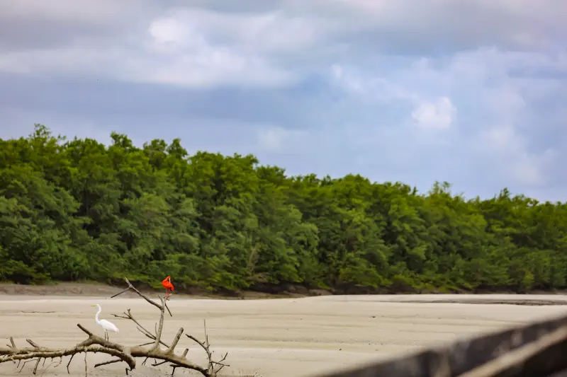  <div class='credito_fotos'>Foto: Bruno Cruz / Ag. Pará &nbsp;&nbsp;|&nbsp;&nbsp; <a href='/midias/2025/originais/20250725120009-GF00024296-F00425908.jpg' download><i class='fa-solid fa-download'></i> Download</a></div>