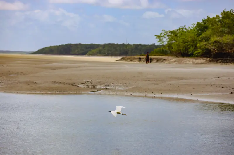  <div class='credito_fotos'>Foto: Bruno Cruz / Ag. Pará &nbsp;&nbsp;|&nbsp;&nbsp; <a href='/midias/2025/originais/20250725120022-GF00024296-F00425912.jpg' download><i class='fa-solid fa-download'></i> Download</a></div>