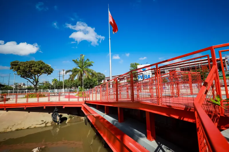  <div class='credito_fotos'>Foto: Marcelo Lelis / Ag. Pará &nbsp;&nbsp;|&nbsp;&nbsp; <a href='/midias/2025/originais/20250726102146-GF00024314-F00426013.jpg' download><i class='fa-solid fa-download'></i> Download</a></div>