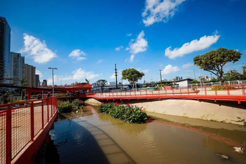  <div class='credito_fotos'>Foto: Marcelo Lelis / Ag. Pará &nbsp;&nbsp;|&nbsp;&nbsp; <a href='/midias/2025/originais/20250726102148-GF00024314-F00426014.jpg' download><i class='fa-solid fa-download'></i> Download</a></div>