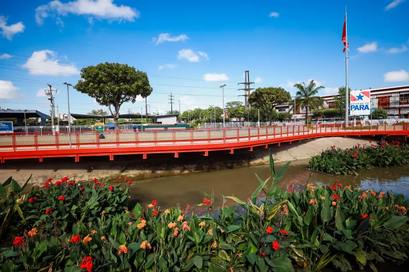  <div class='credito_fotos'>Foto: Marcelo Lelis / Ag. Pará &nbsp;&nbsp;|&nbsp;&nbsp; <a href='/midias/2025/originais/20250726102150-GF00024314-F00426015.jpg' download><i class='fa-solid fa-download'></i> Download</a></div>