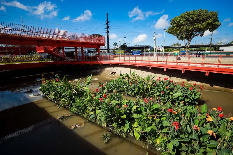  <div class='credito_fotos'>Foto: Marcelo Lelis / Ag. Pará &nbsp;&nbsp;|&nbsp;&nbsp; <a href='/midias/2025/originais/20250726102155-GF00024314-F00426017.jpg' download><i class='fa-solid fa-download'></i> Download</a></div>