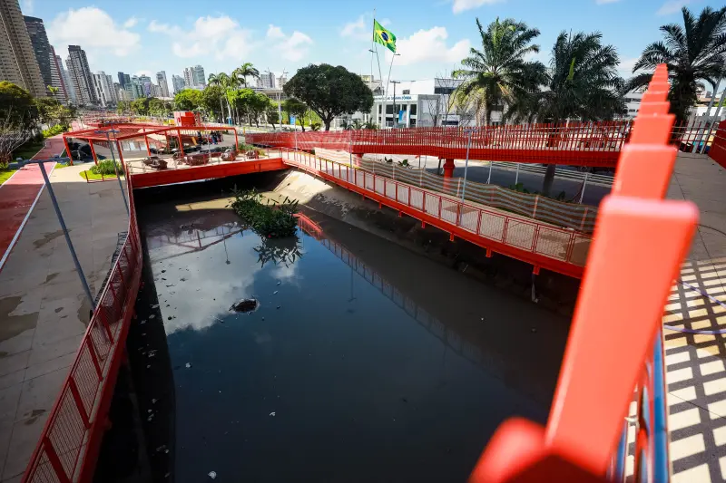  <div class='credito_fotos'>Foto: Marcelo Lelis / Ag. Pará &nbsp;&nbsp;|&nbsp;&nbsp; <a href='/midias/2025/originais/20250726102203-GF00024314-F00426021.jpg' download><i class='fa-solid fa-download'></i> Download</a></div>