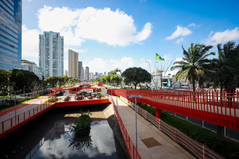  <div class='credito_fotos'>Foto: Marcelo Lelis / Ag. Pará &nbsp;&nbsp;|&nbsp;&nbsp; <a href='/midias/2025/originais/20250726102205-GF00024314-F00426022.jpg' download><i class='fa-solid fa-download'></i> Download</a></div>