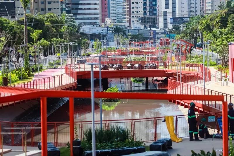  <div class='credito_fotos'>Foto: Marcelo Lelis / Ag. Pará &nbsp;&nbsp;|&nbsp;&nbsp; <a href='/midias/2025/originais/20250726102209-GF00024314-F00426024.jpg' download><i class='fa-solid fa-download'></i> Download</a></div>