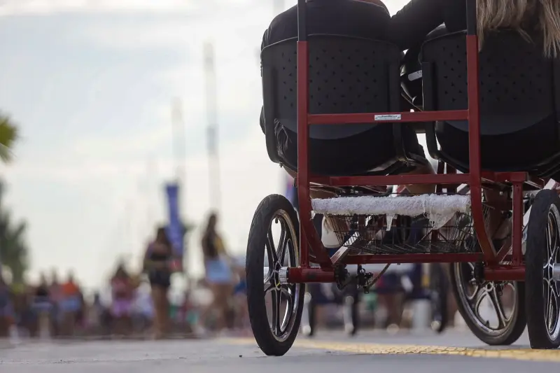  <div class='credito_fotos'>Foto: Igor Mota / Ag. Pará &nbsp;&nbsp;|&nbsp;&nbsp; <a href='/midias/2025/originais/20250729181418-GF00024335-F00426675.jpg' download><i class='fa-solid fa-download'></i> Download</a></div>