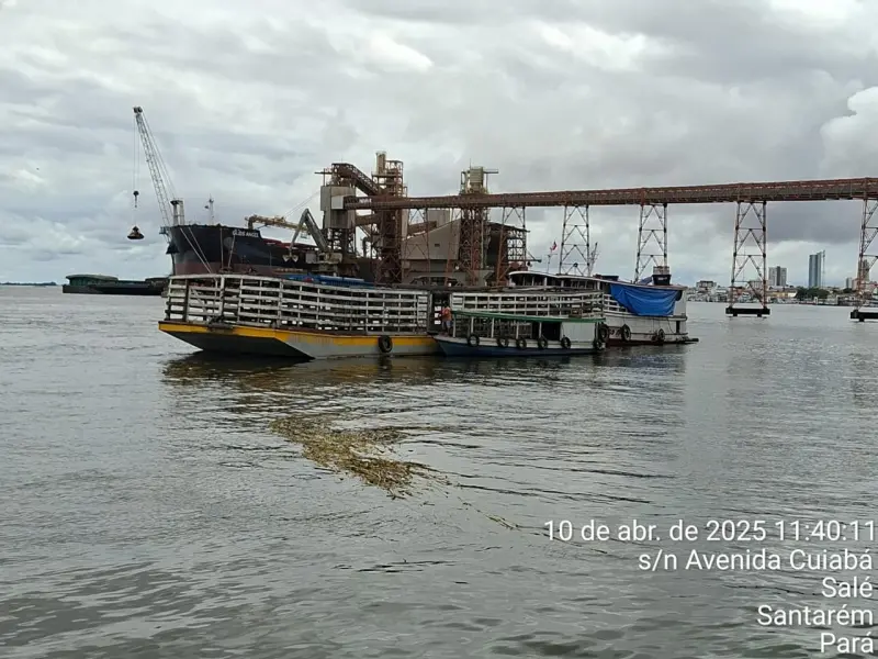 Apreensão de drogas durante a operação "Fake Ferry"