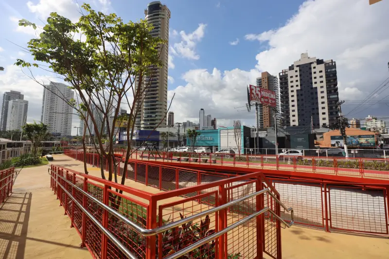  <div class='credito_fotos'>Foto: Bruno Cruz / Ag. Pará &nbsp;&nbsp;|&nbsp;&nbsp; <a href='/midias/2025/originais/20250801161332-GF00024365-F00427482.jpg' download><i class='fa-solid fa-download'></i> Download</a></div>