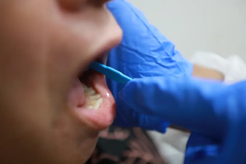  <div class='credito_fotos'>Foto: Marcelo Lelis / Ag. Pará &nbsp;&nbsp;|&nbsp;&nbsp; <a href='/midias/2025/originais/20250804171248-GF00024378-F00427707.jpg' download><i class='fa-solid fa-download'></i> Download</a></div>