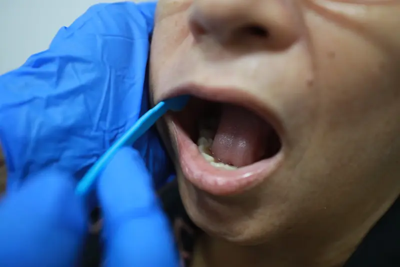  <div class='credito_fotos'>Foto: Marcelo Lelis / Ag. Pará &nbsp;&nbsp;|&nbsp;&nbsp; <a href='/midias/2025/originais/20250804171252-GF00024378-F00427709.jpg' download><i class='fa-solid fa-download'></i> Download</a></div>