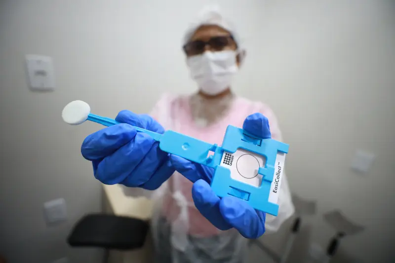  <div class='credito_fotos'>Foto: Marcelo Lelis / Ag. Pará &nbsp;&nbsp;|&nbsp;&nbsp; <a href='/midias/2025/originais/20250804171302-GF00024378-F00427714.jpg' download><i class='fa-solid fa-download'></i> Download</a></div>