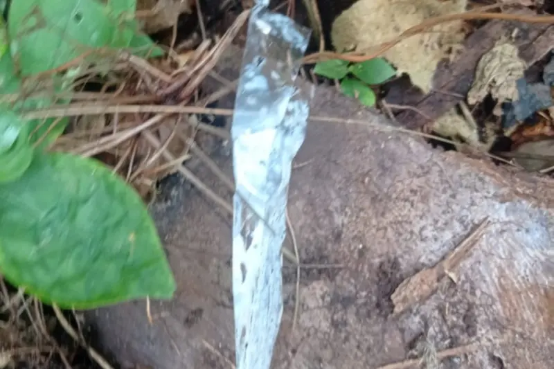 Faca utilizada no crime de estupro de uma das vítimas